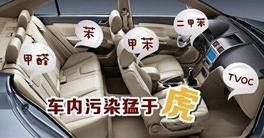 車內(nèi)甲醛正常值以及車內(nèi)放什么東西可以除甲醛？