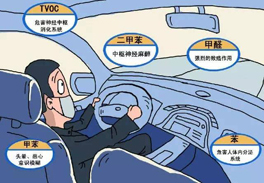 車內(nèi)異味隱憂大 及早解決保健康